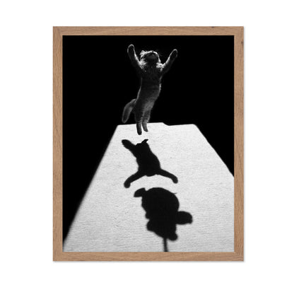 Shadow Dancer