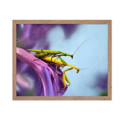 The Mating