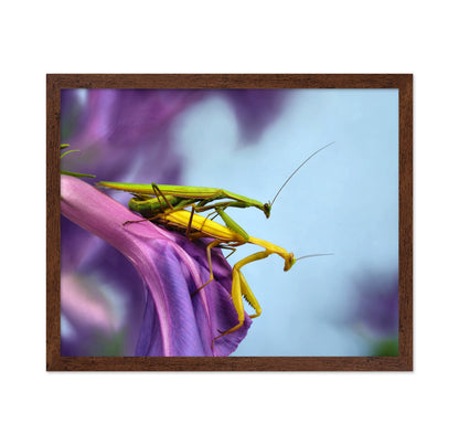 The Mating