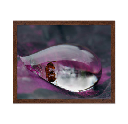Caught In A Droplet