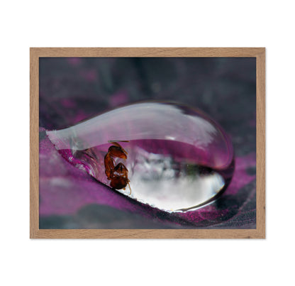Caught In A Droplet