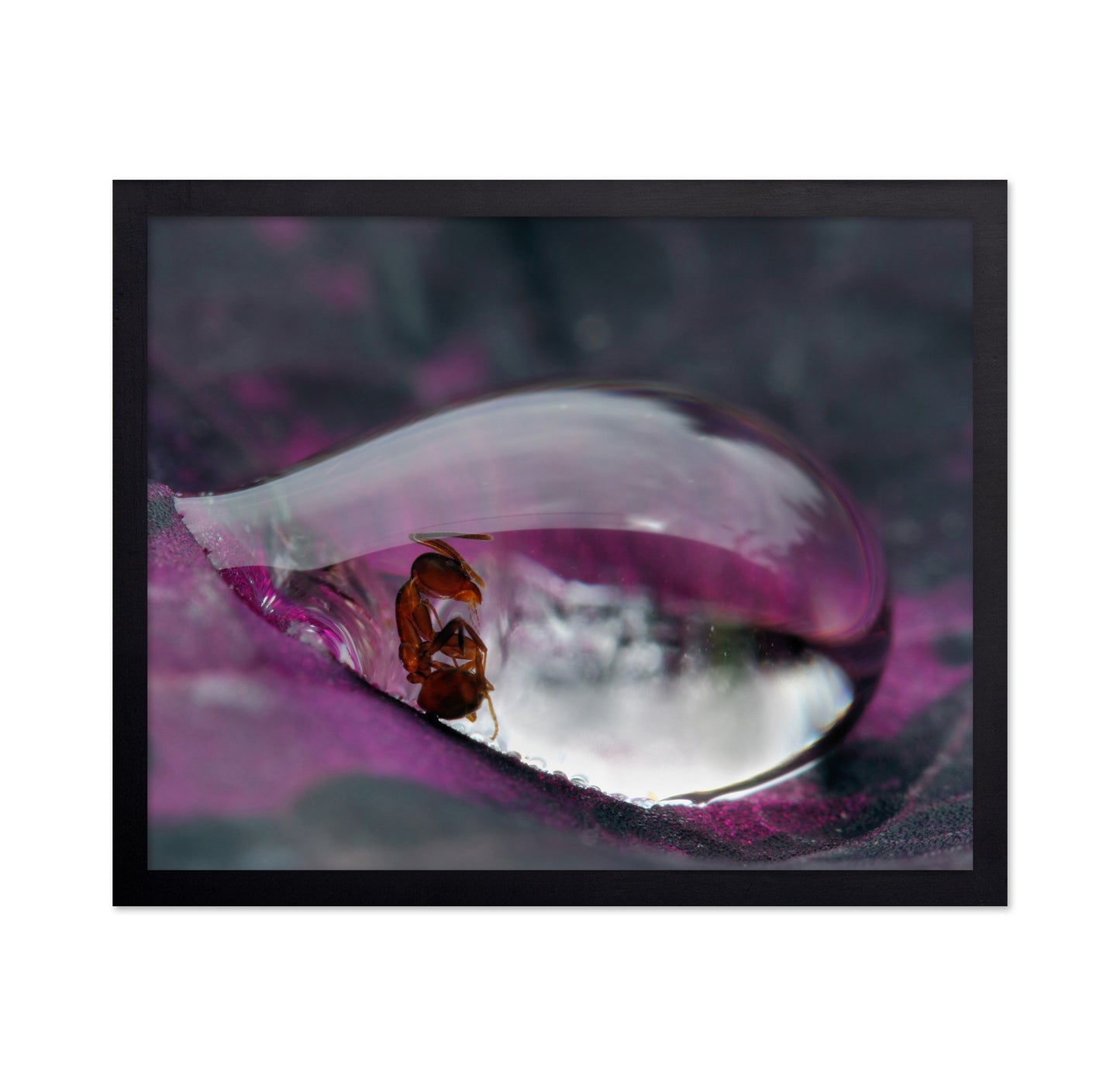 Caught In A Droplet