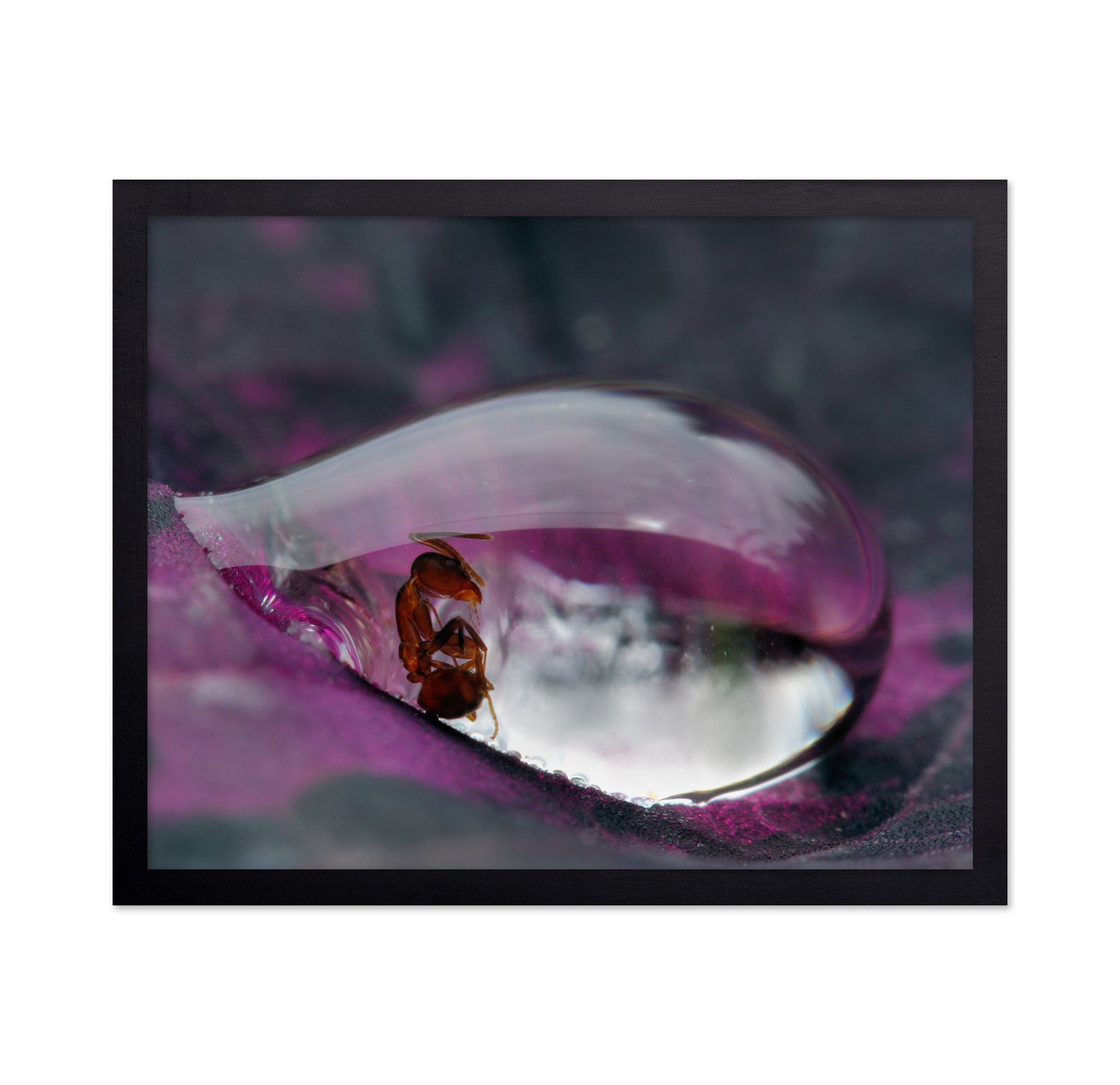 Caught In A Droplet