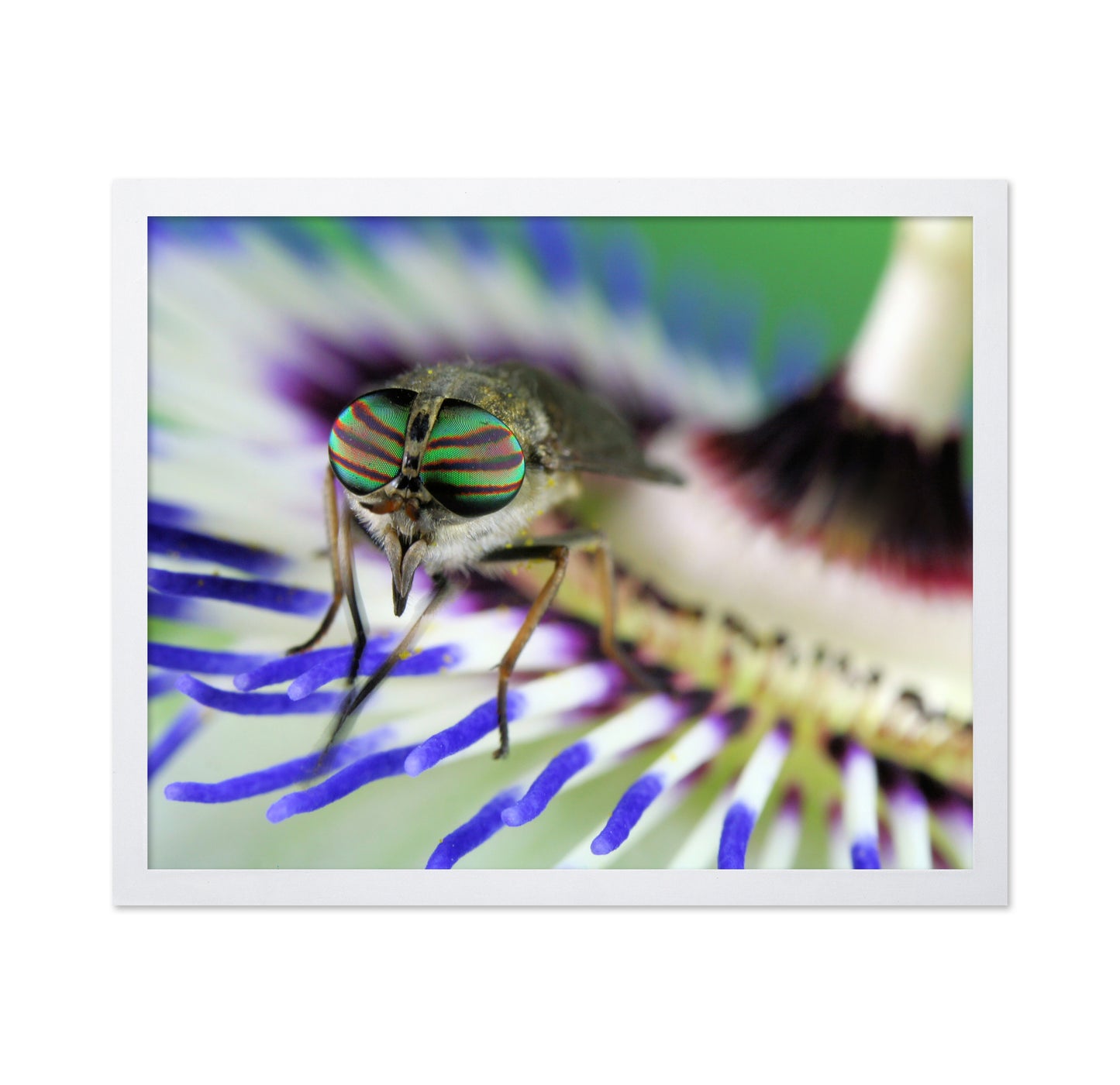 Eye-Catching