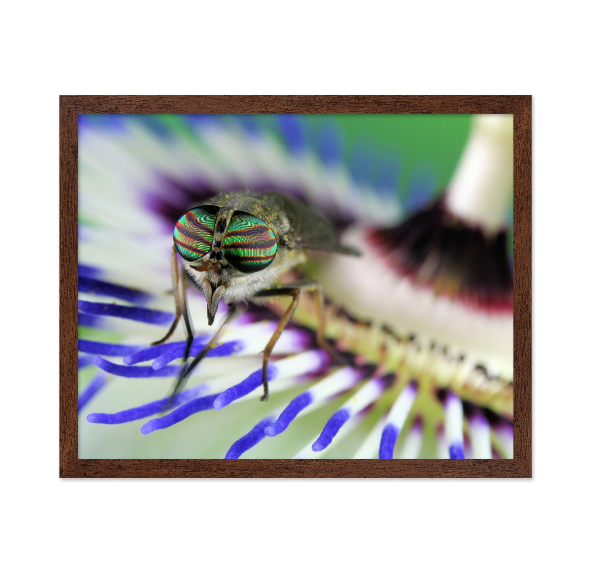 Eye-Catching