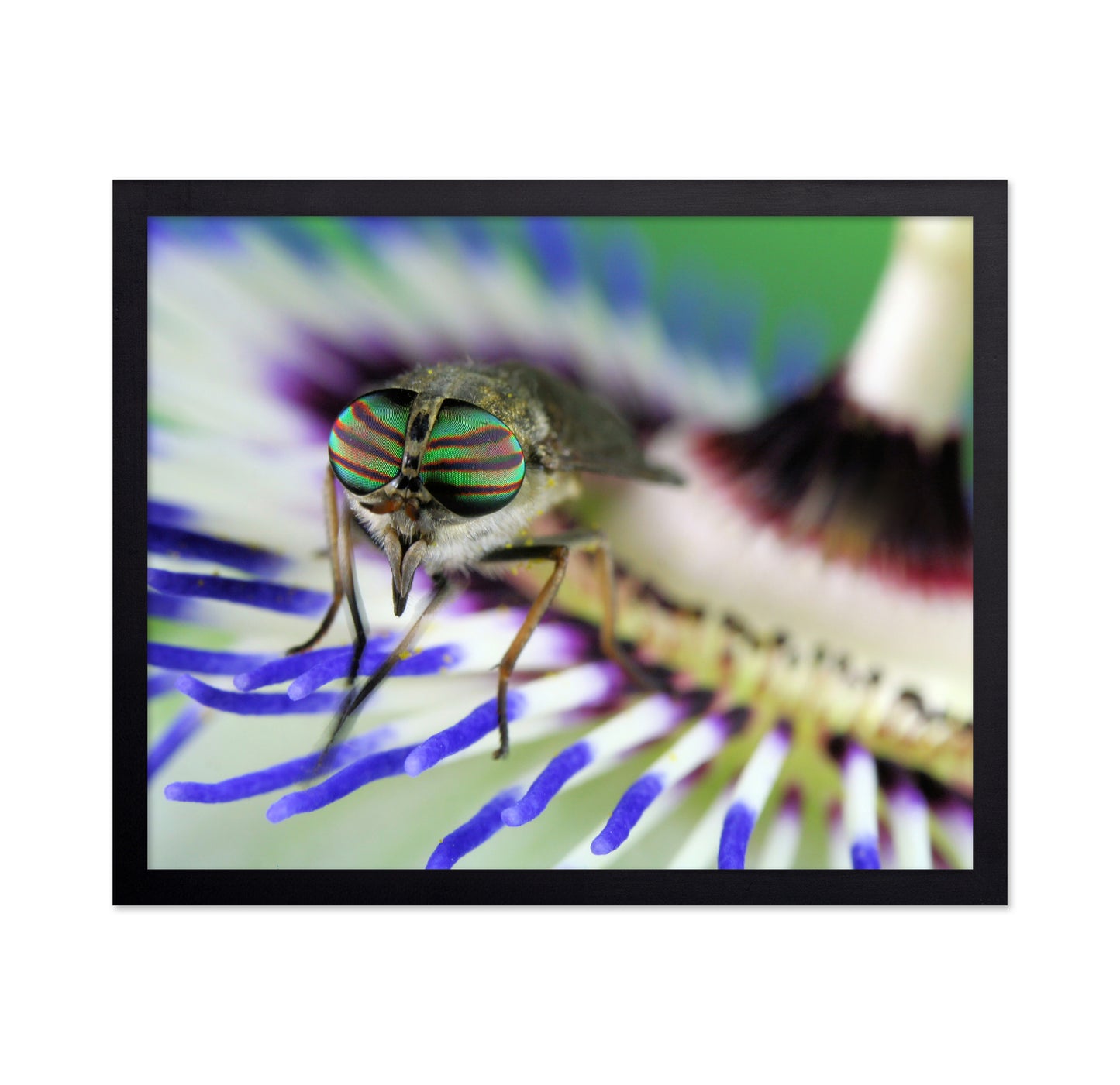Eye-Catching