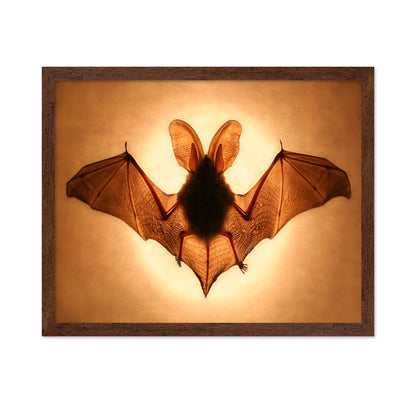 Bat