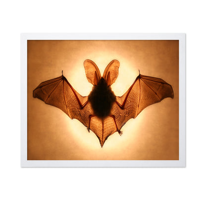 Bat