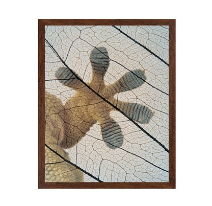 Gecko-paw