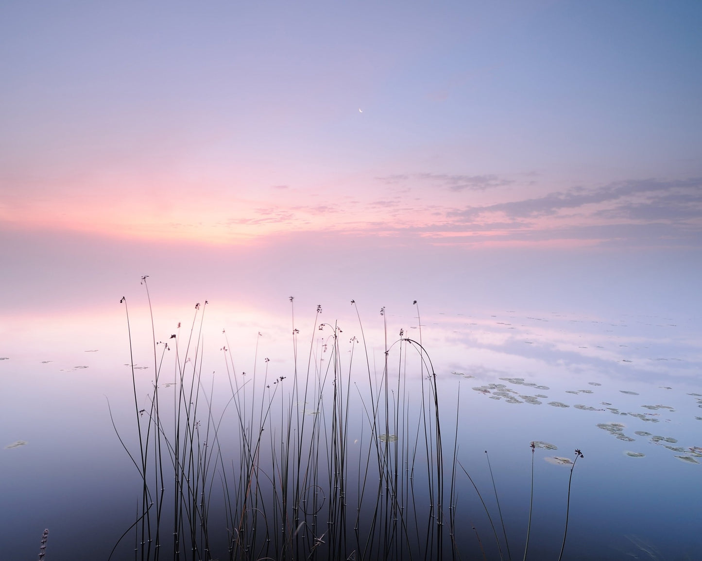 The Tranquility of the Lake