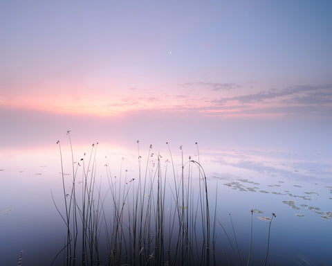 The Tranquility of the Lake