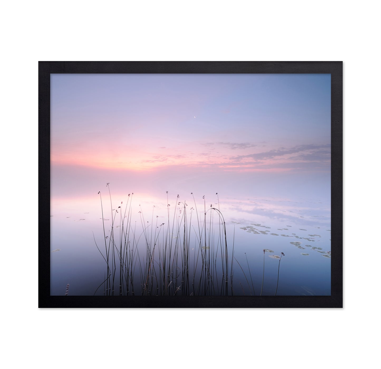 The Tranquility of the Lake