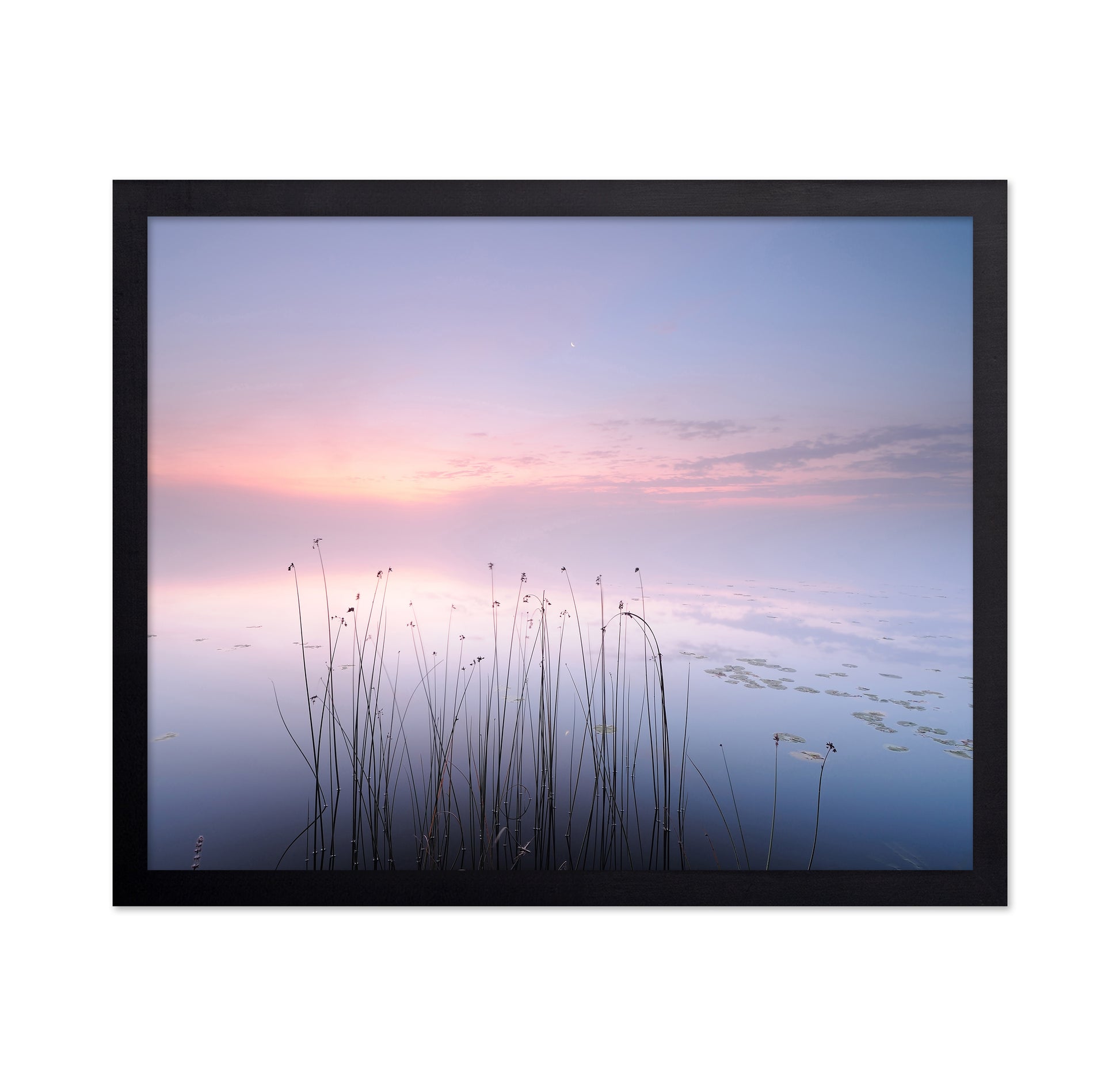 The Tranquility of the Lake
