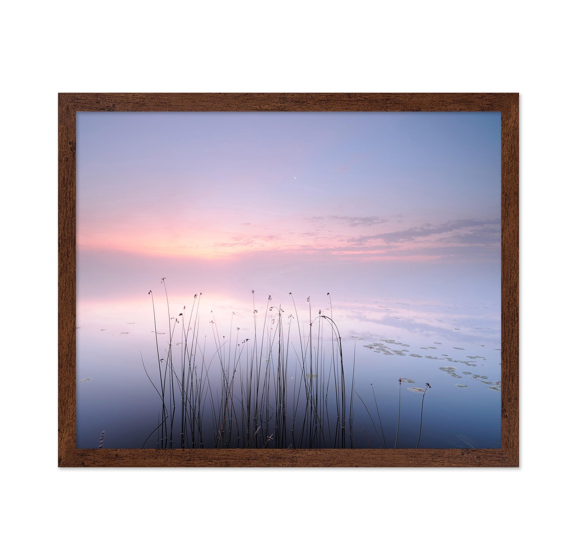 The Tranquility of the Lake