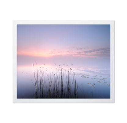 The Tranquility of the Lake