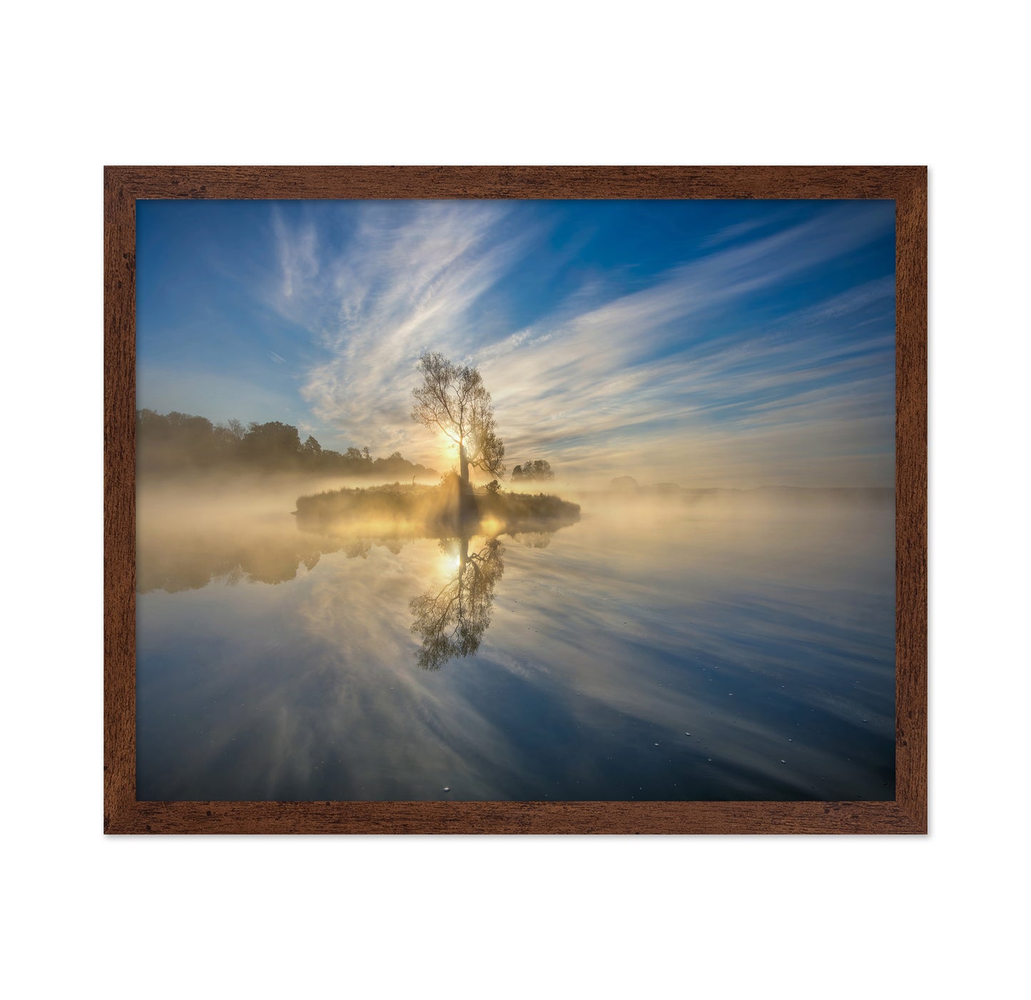 Morning Sunlight Reflection