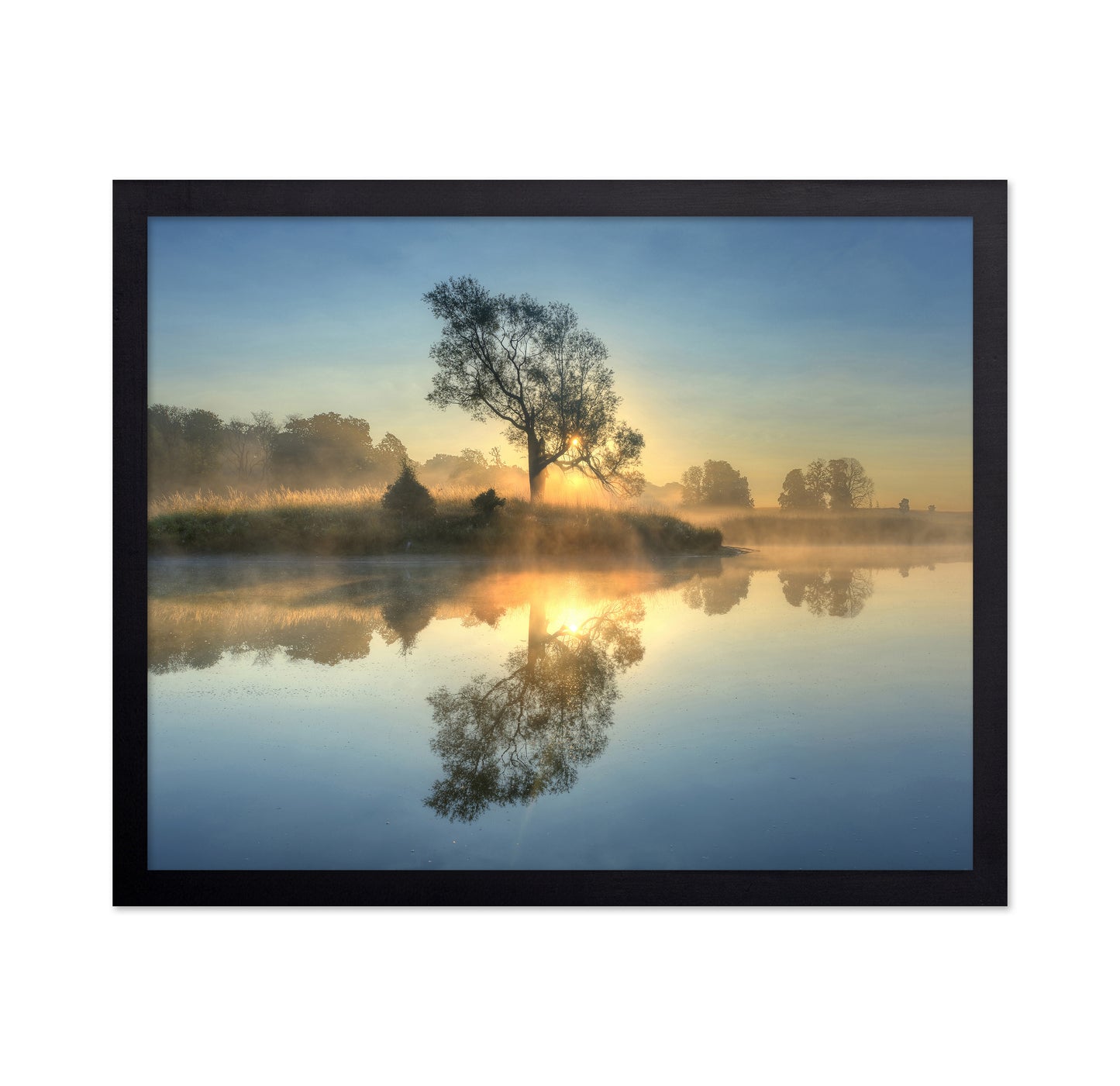 Morning Reflection