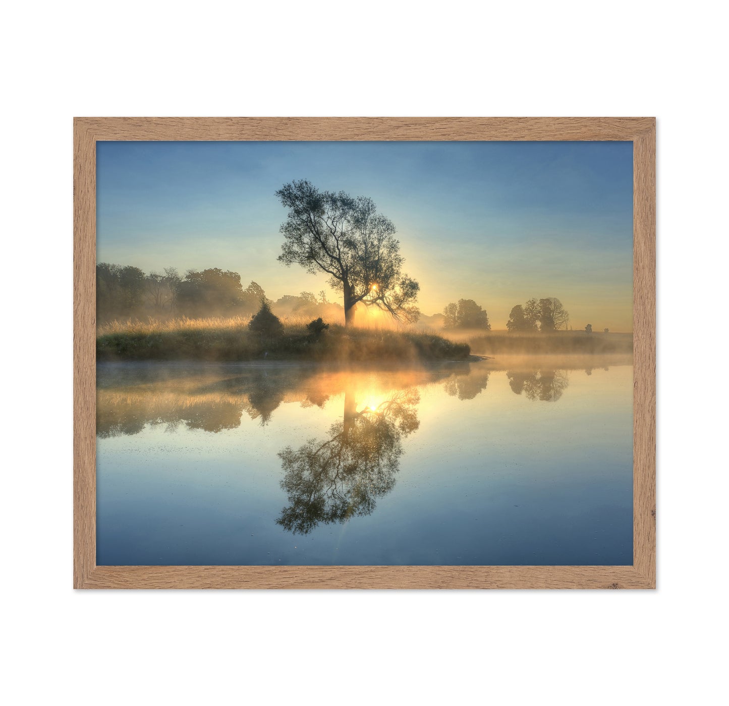 Morning Reflection