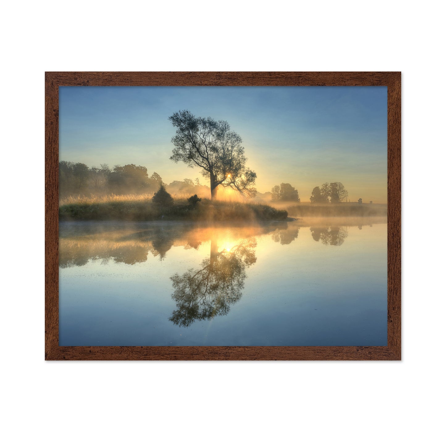 Morning Reflection