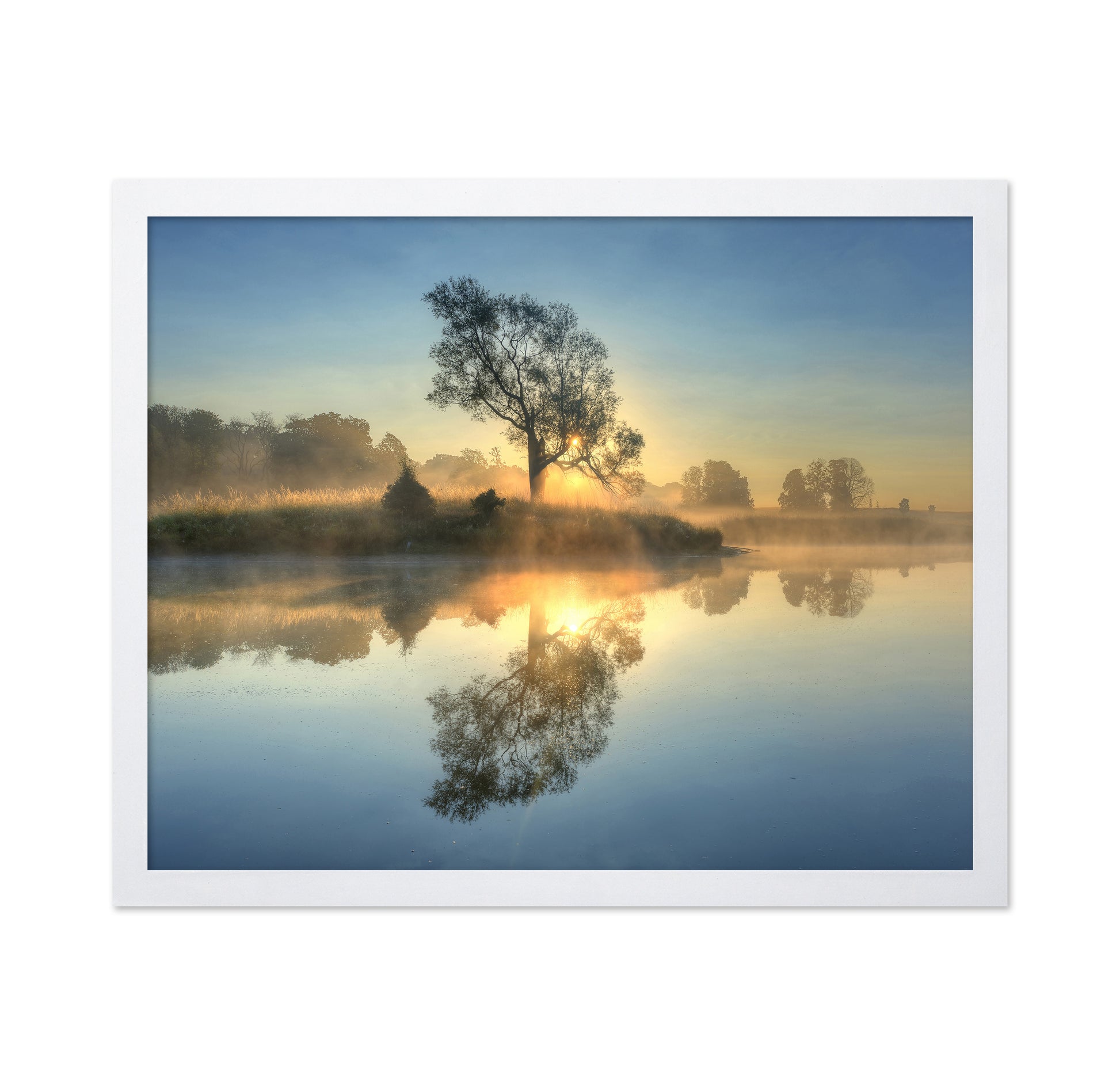 Morning Reflection