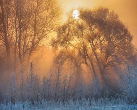 Warm And Cold