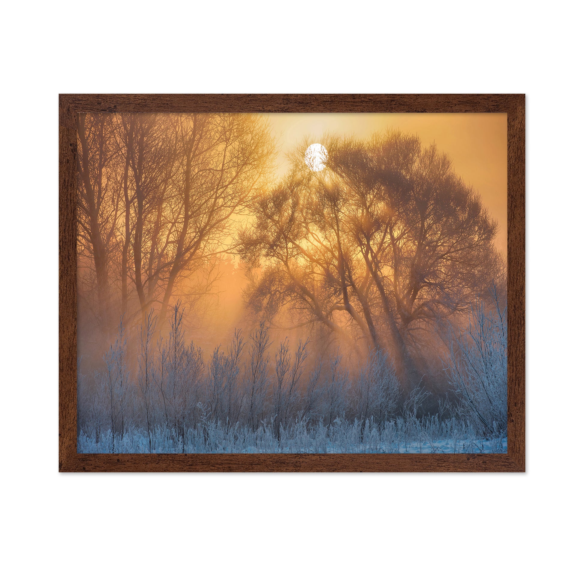 Warm And Cold