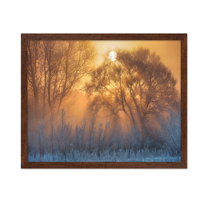 Warm And Cold