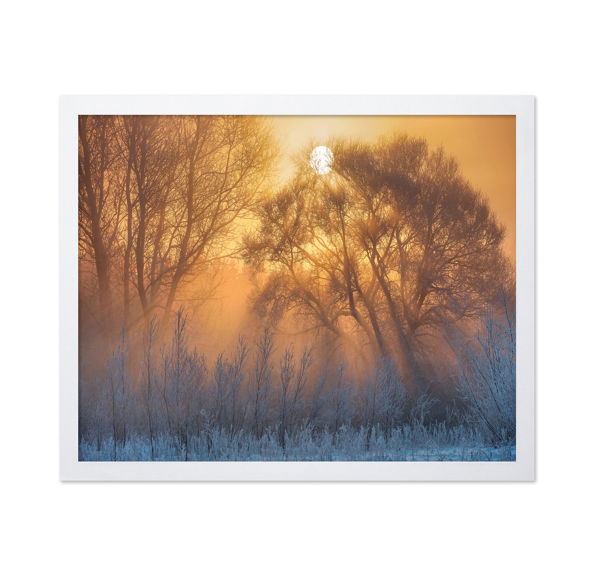 Warm And Cold