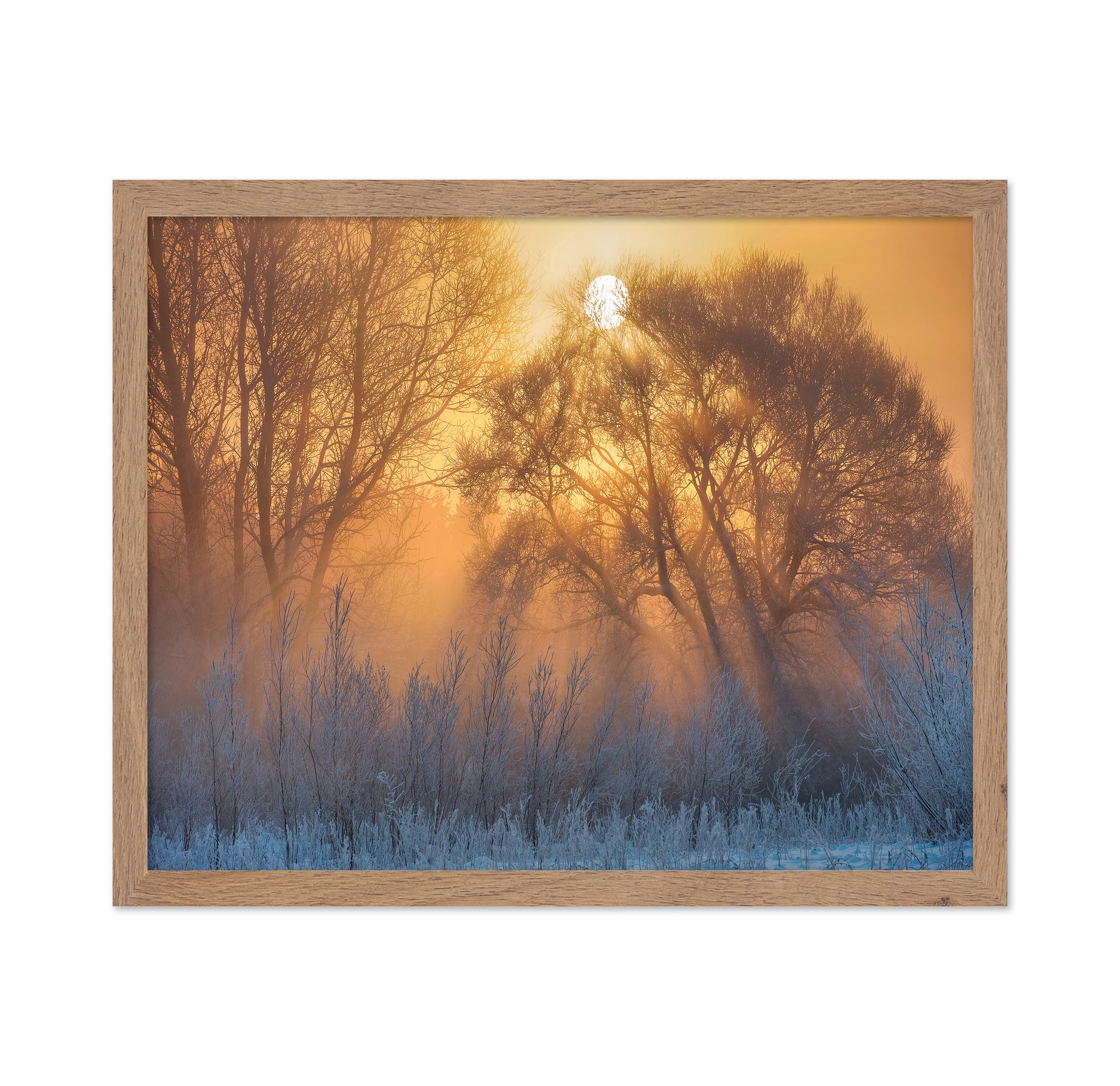 Warm And Cold