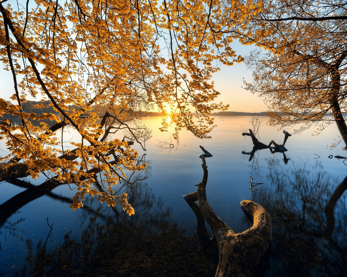 Autumn Morning