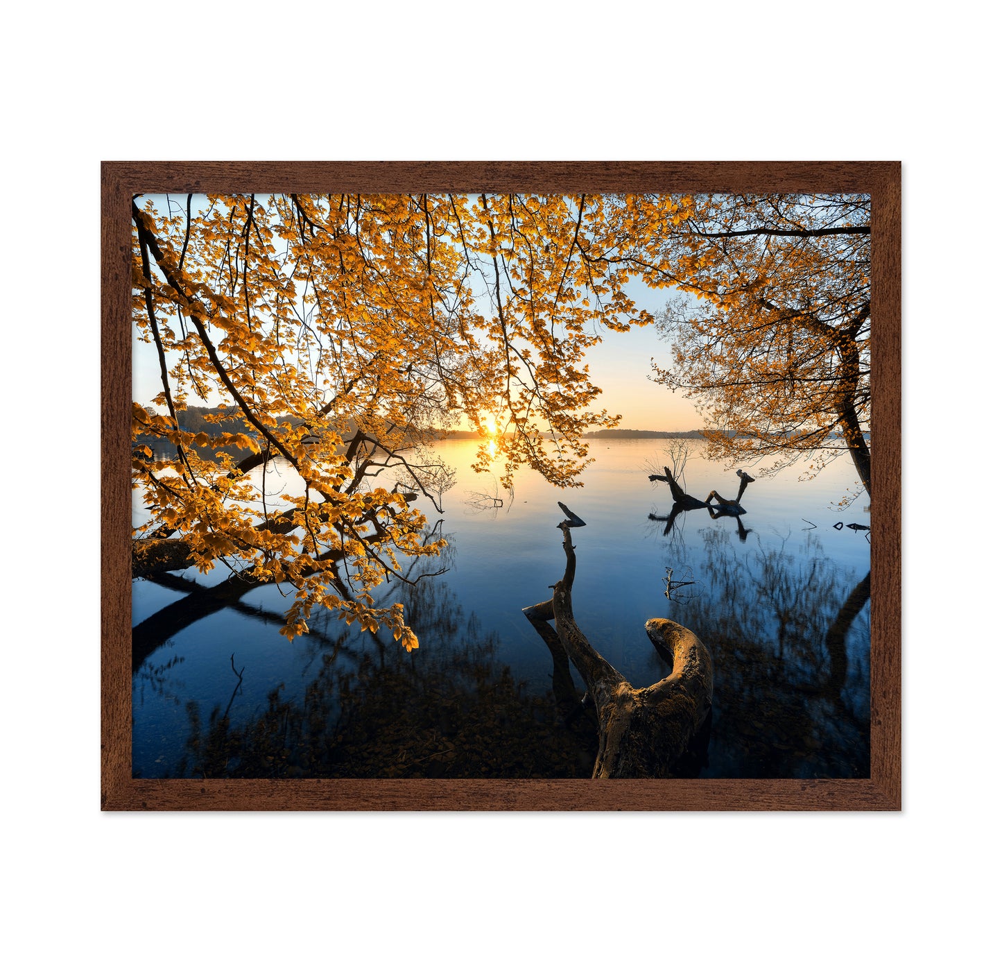 Autumn Morning