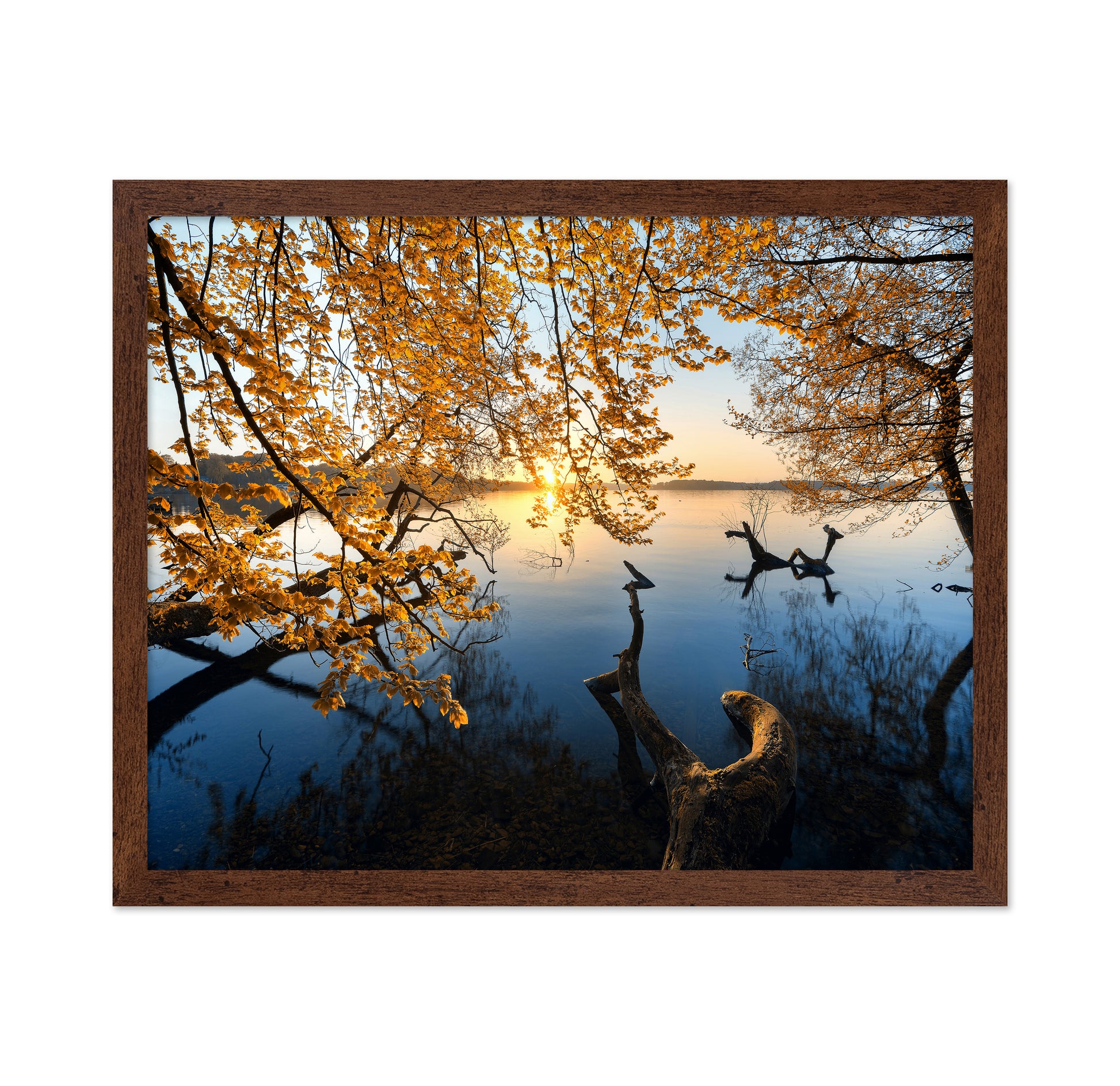 Autumn Morning