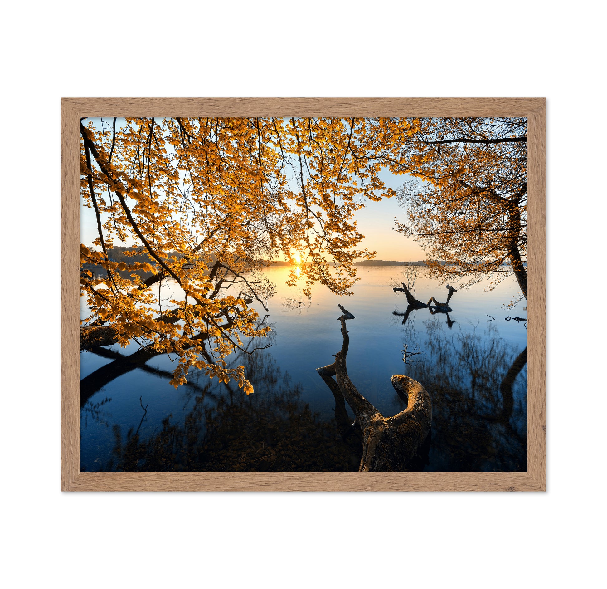 Autumn Morning