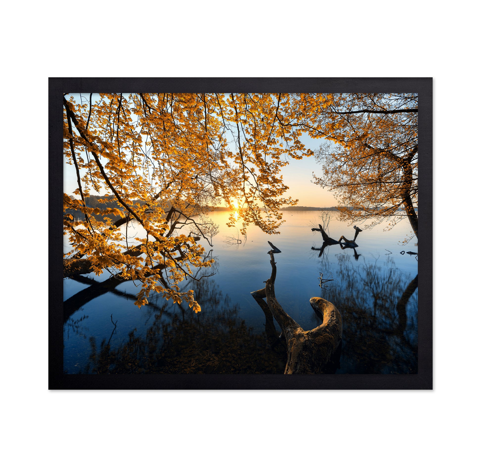 Autumn Morning