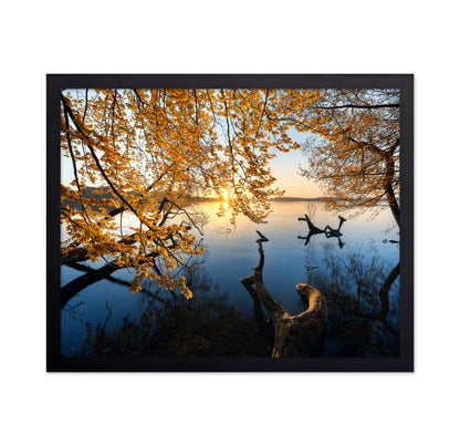 Autumn Morning