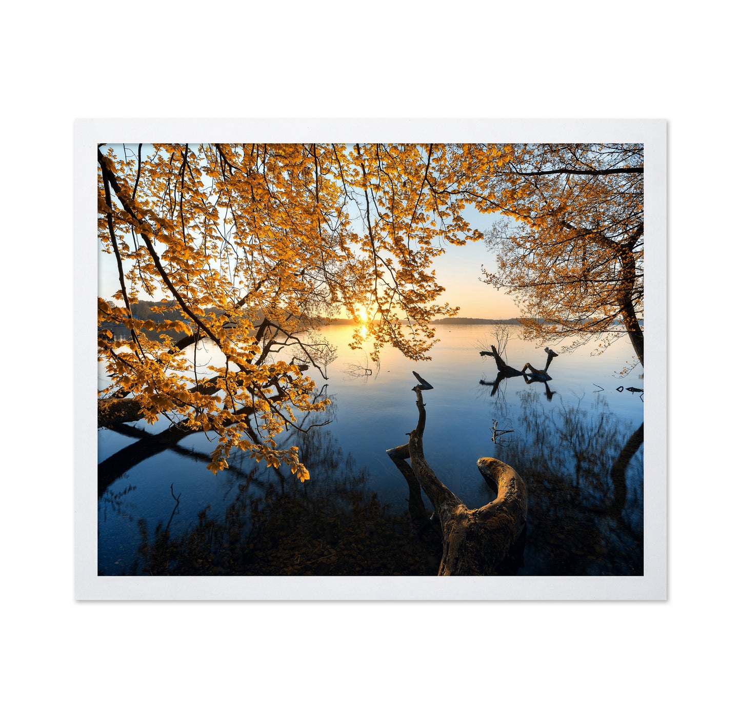 Autumn Morning