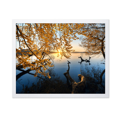 Autumn Morning