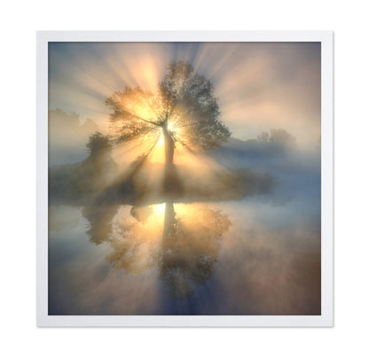 Tree Of Light