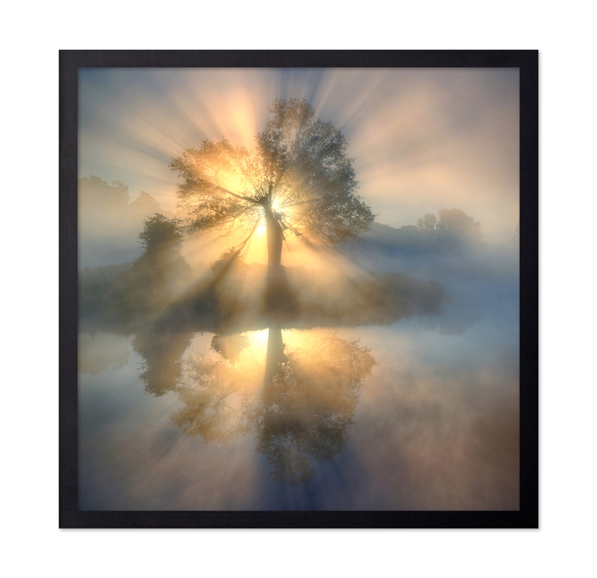 Tree Of Light