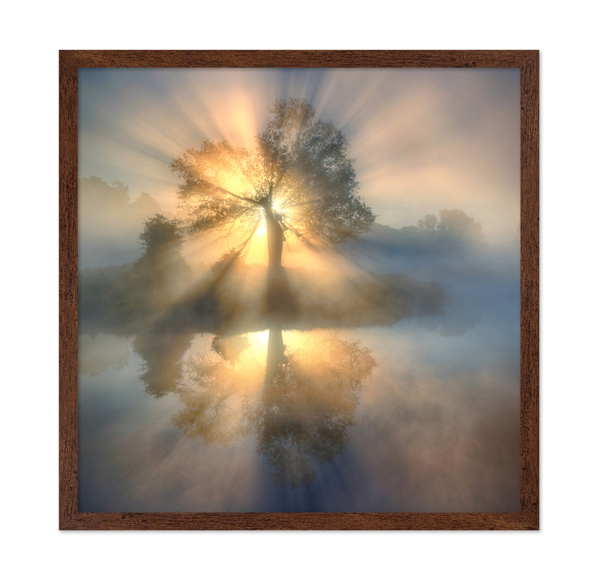 Tree Of Light