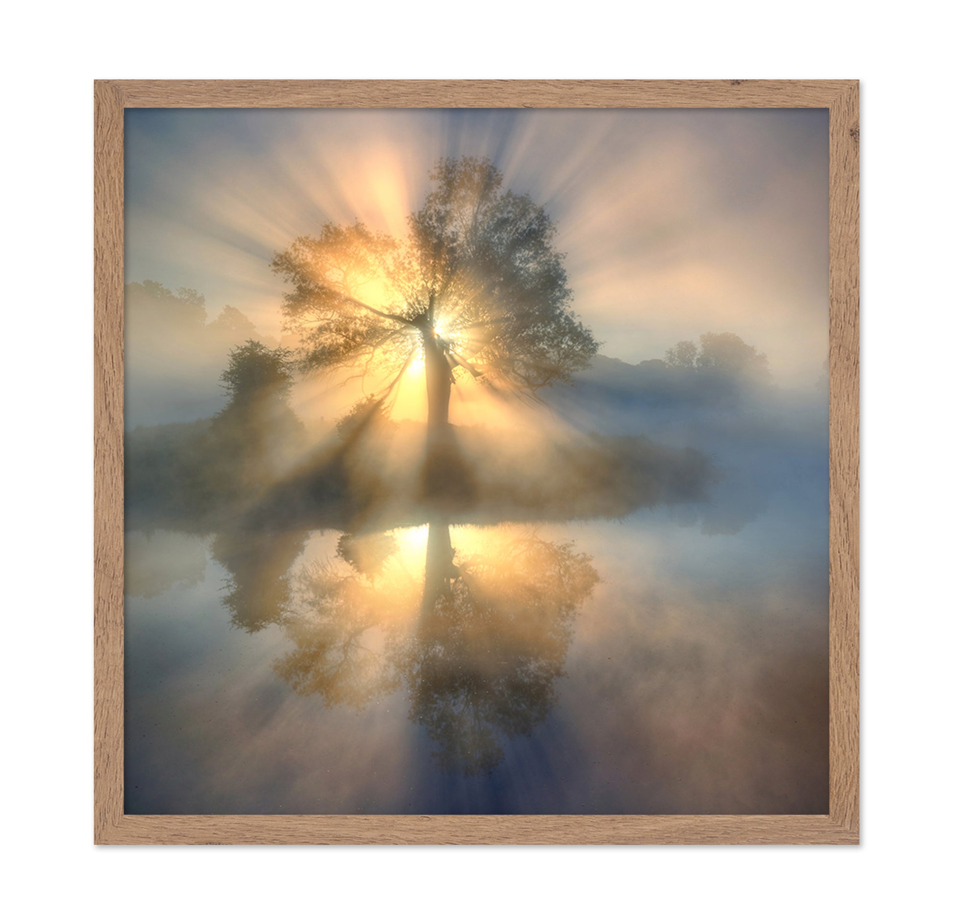 Tree Of Light