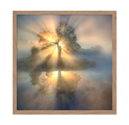 Tree Of Light