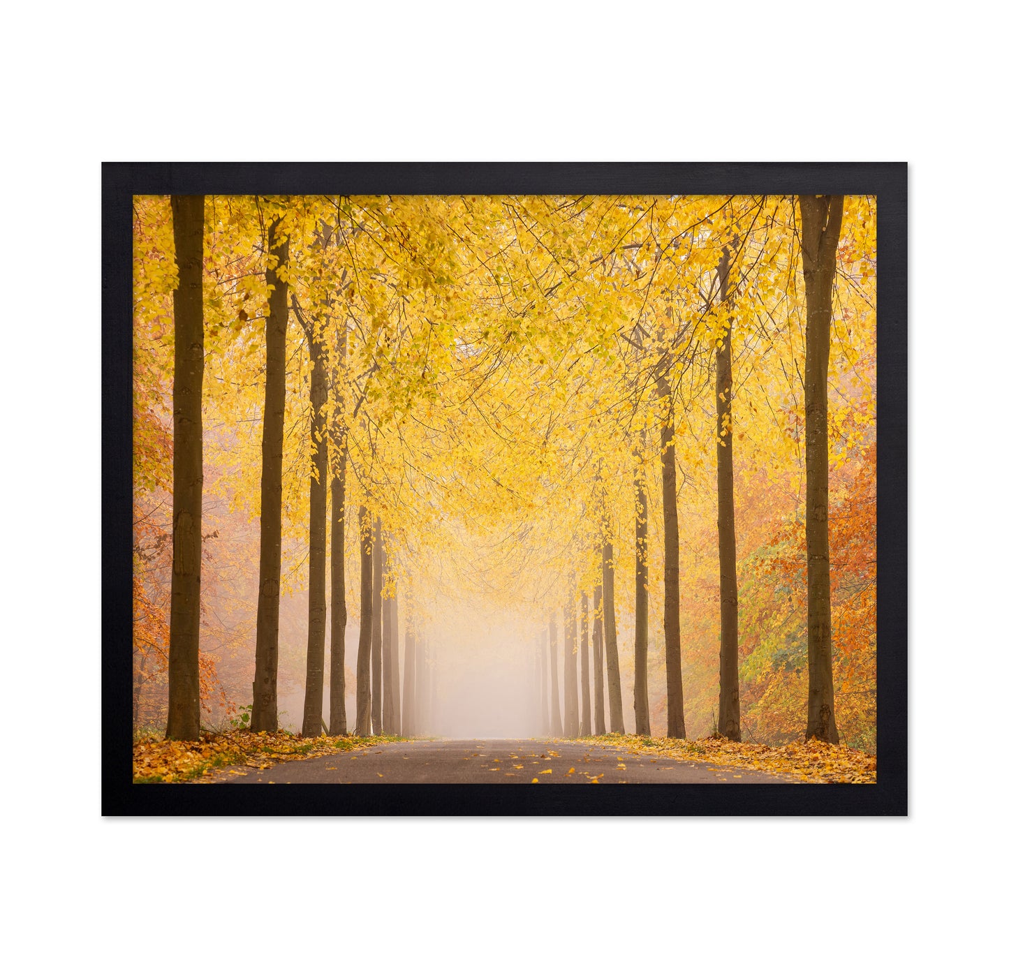 Autumn Road