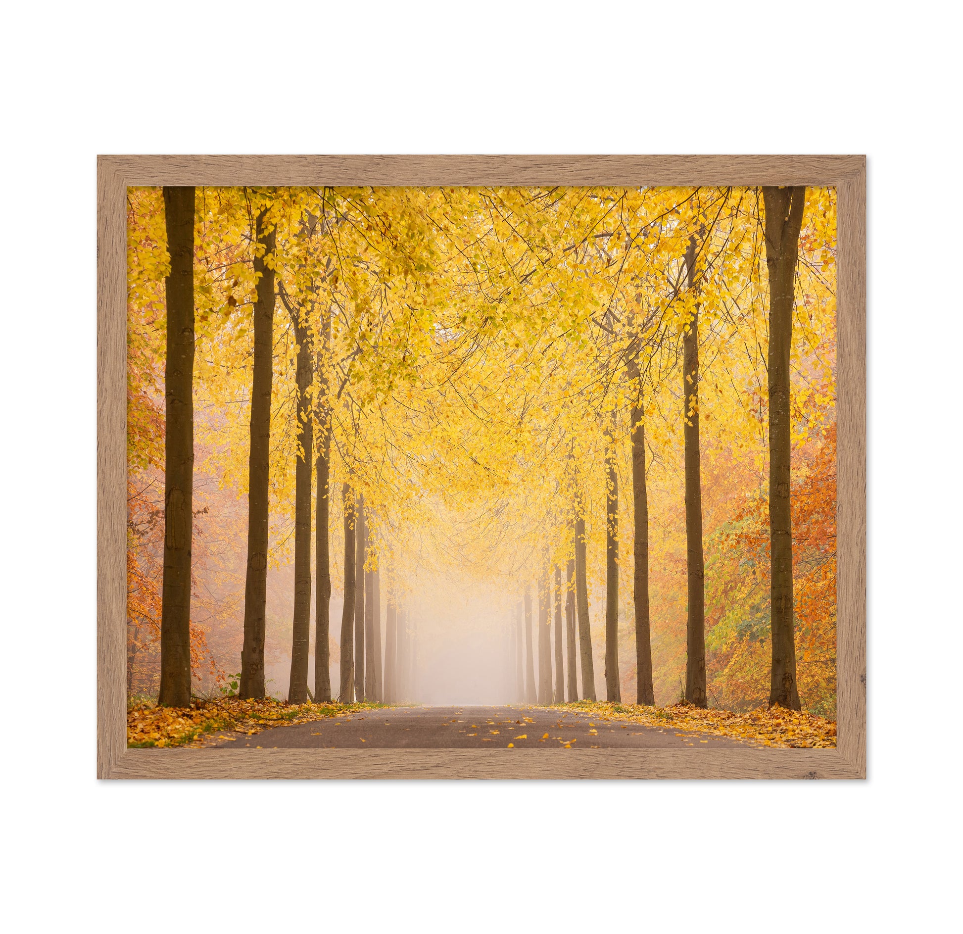Autumn Road