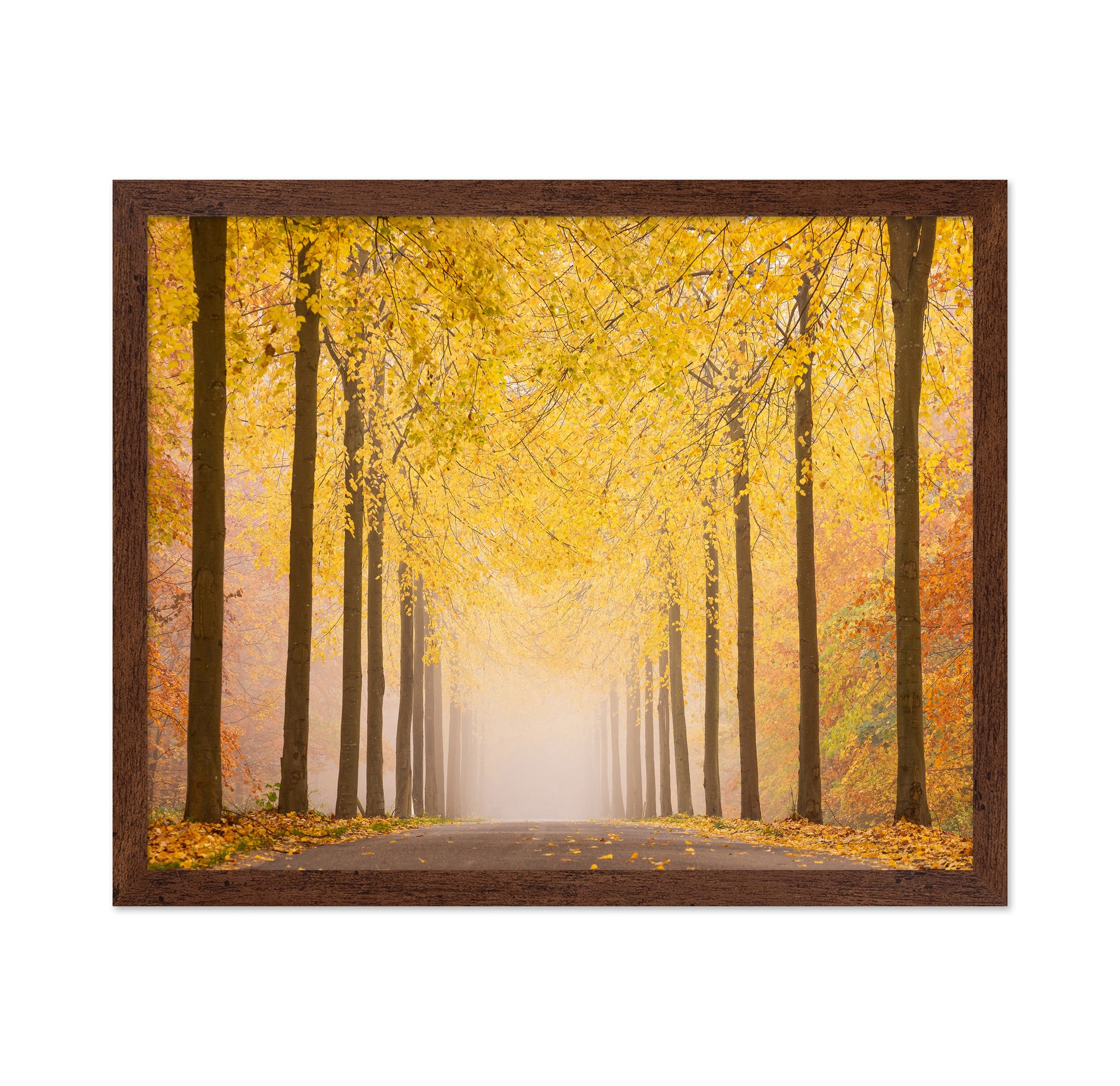 Autumn Road