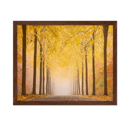 Autumn Road