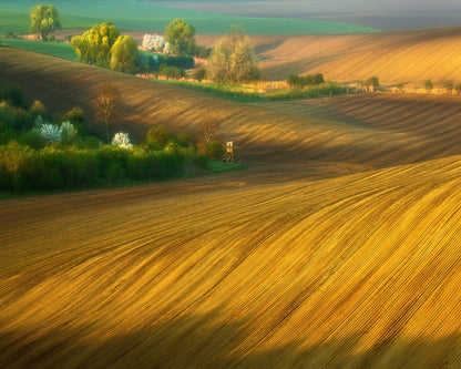 Fields