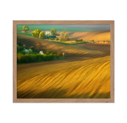 Fields