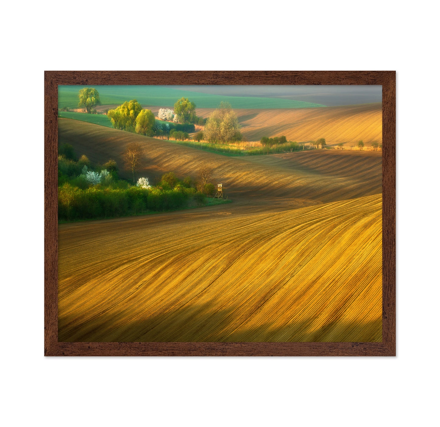 Fields
