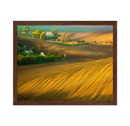 Fields